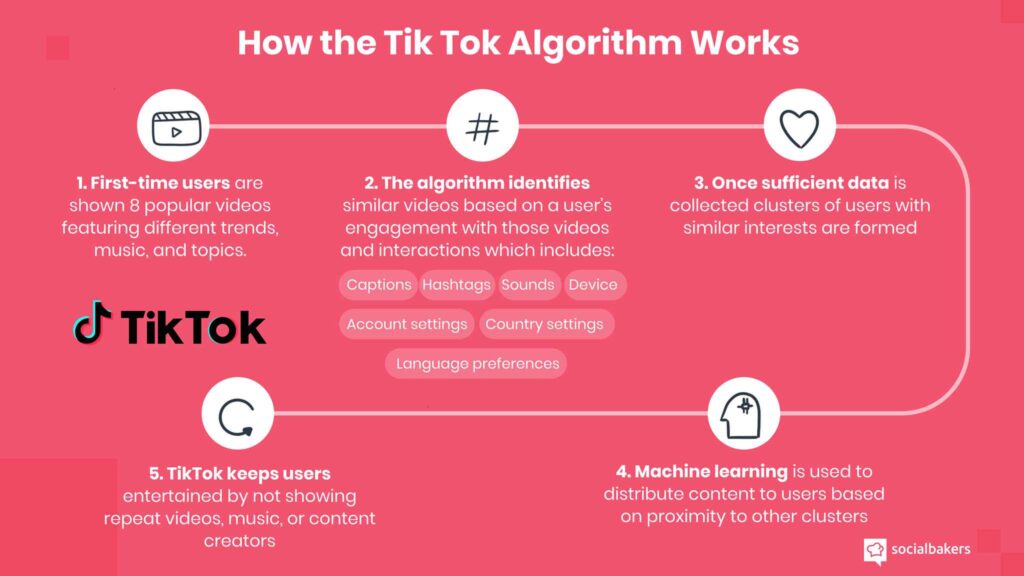 tiktok-algoritme