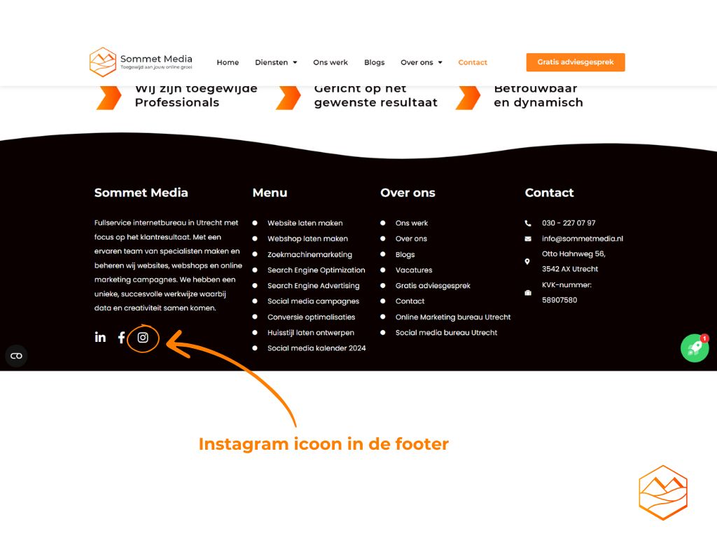 Plaatsen van Instagram icoon op website