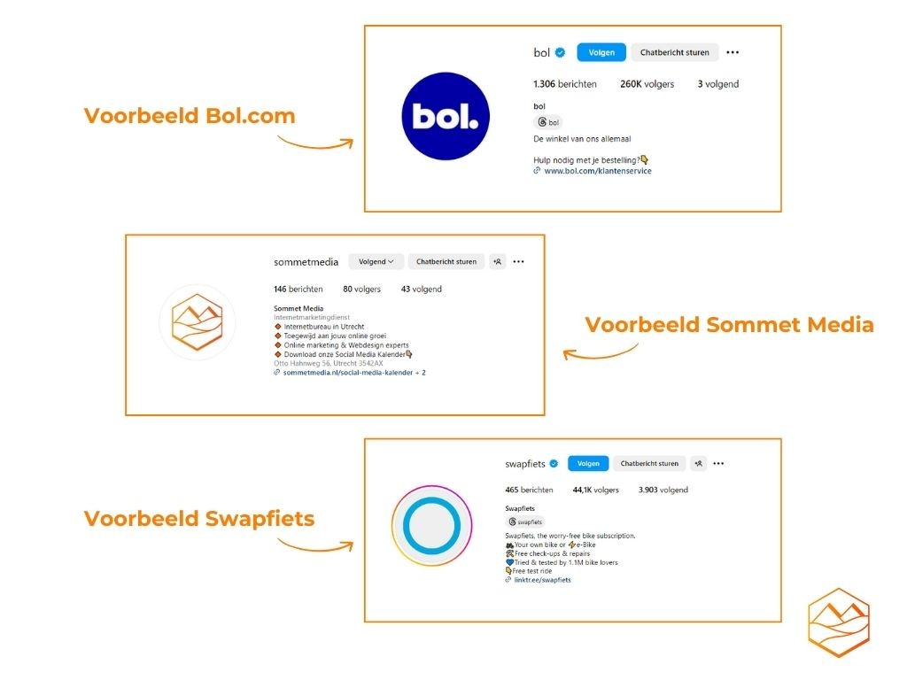 Voorbeelden Instagram Bio's