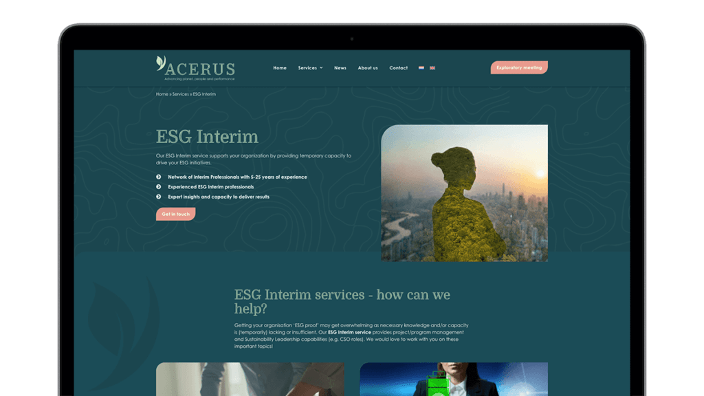 Interim-Acerus-Website-screens
