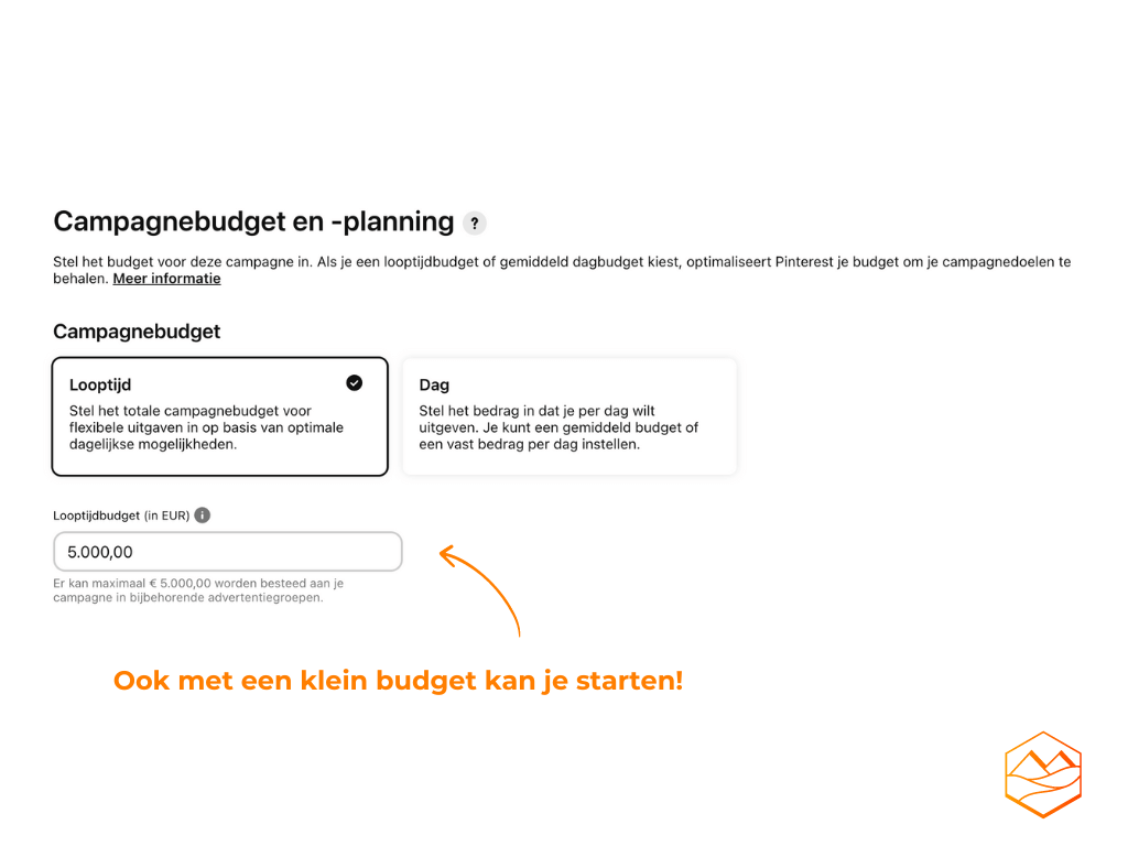 Screenshot van het campagnebudget – en planning overzicht
